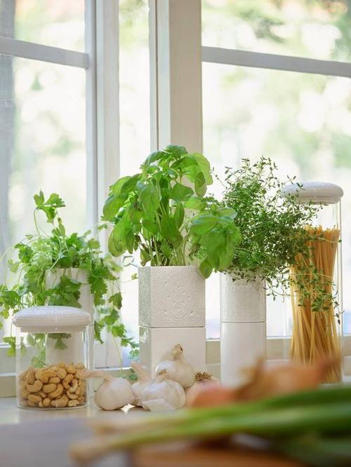 Puistotie 5 Puistotie 5